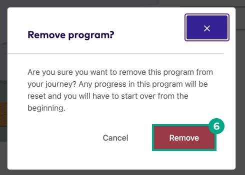 remove program confirmation pop-up with the remove button highlighted