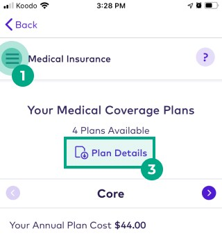 Medical insurance screen on the League app with the plan details button highlighted